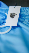 Load image into Gallery viewer, Carolina Performance Shorts